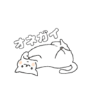 毎日のしろいねこ（個別スタンプ：3）