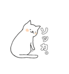 毎日のしろいねこ（個別スタンプ：7）