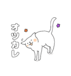 毎日のしろいねこ（個別スタンプ：8）