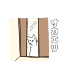 毎日のしろいねこ（個別スタンプ：10）