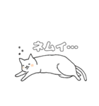 毎日のしろいねこ（個別スタンプ：11）