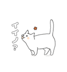 毎日のしろいねこ（個別スタンプ：15）