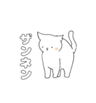 毎日のしろいねこ（個別スタンプ：20）