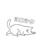 毎日のしろいねこ（個別スタンプ：21）