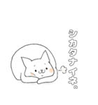 毎日のしろいねこ（個別スタンプ：22）