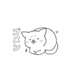 毎日のしろいねこ（個別スタンプ：24）