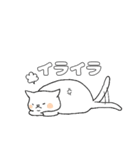 毎日のしろいねこ（個別スタンプ：29）