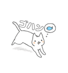 毎日のしろいねこ（個別スタンプ：38）