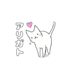 毎日のしろいねこ（個別スタンプ：39）