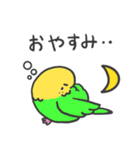 インコちゃんの毎日（個別スタンプ：2）