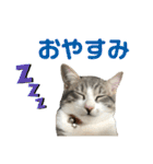 主役は小町（個別スタンプ：3）