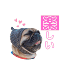 だいさく 時々 もん兄ちゃん（個別スタンプ：3）
