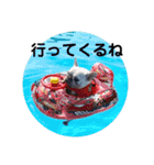 だいさく 時々 もん兄ちゃん（個別スタンプ：13）
