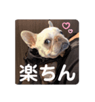 だいさく 時々 もん兄ちゃん（個別スタンプ：20）