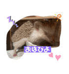 モカぴの日常（個別スタンプ：2）