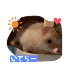 モカぴの日常（個別スタンプ：3）