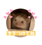 モカぴの日常（個別スタンプ：4）