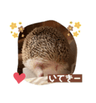 モカぴの日常（個別スタンプ：5）