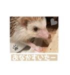 モカぴの日常（個別スタンプ：6）