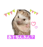 モカぴの日常（個別スタンプ：9）