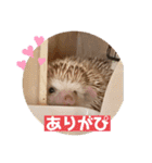 モカぴの日常（個別スタンプ：10）