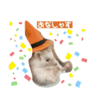 モカぴの日常（個別スタンプ：12）