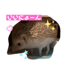 モカぴの日常（個別スタンプ：14）