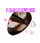モカぴの日常（個別スタンプ：16）