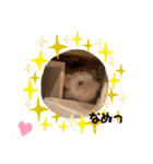 モカぴの日常（個別スタンプ：17）