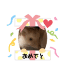 モカぴの日常（個別スタンプ：18）