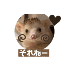 モカぴの日常（個別スタンプ：21）