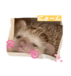 モカぴの日常（個別スタンプ：23）