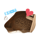 モカぴの日常（個別スタンプ：24）