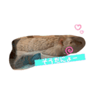 モカぴの日常（個別スタンプ：25）
