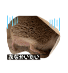 モカぴの日常（個別スタンプ：32）