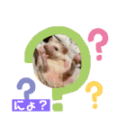 モカぴの日常（個別スタンプ：40）