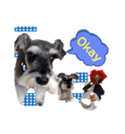 Atom’s line Stickers②（個別スタンプ：3）