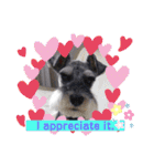 Atom’s line Stickers②（個別スタンプ：4）