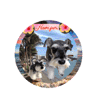 Atom’s line Stickers②（個別スタンプ：5）