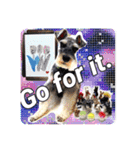 Atom’s line Stickers②（個別スタンプ：6）