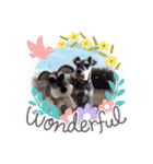 Atom’s line Stickers②（個別スタンプ：7）