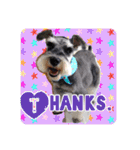 Atom’s line Stickers②（個別スタンプ：8）
