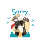 Atom’s line Stickers②（個別スタンプ：11）