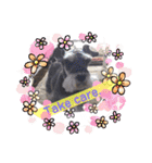 Atom’s line Stickers②（個別スタンプ：13）