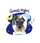 Atom’s line Stickers②（個別スタンプ：14）