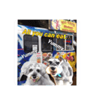 Atom’s line Stickers②（個別スタンプ：17）