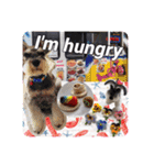 Atom’s line Stickers②（個別スタンプ：19）