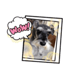 Atom’s line Stickers②（個別スタンプ：21）