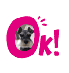 Atom’s line Stickers②（個別スタンプ：22）