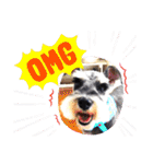 Atom’s line Stickers②（個別スタンプ：23）